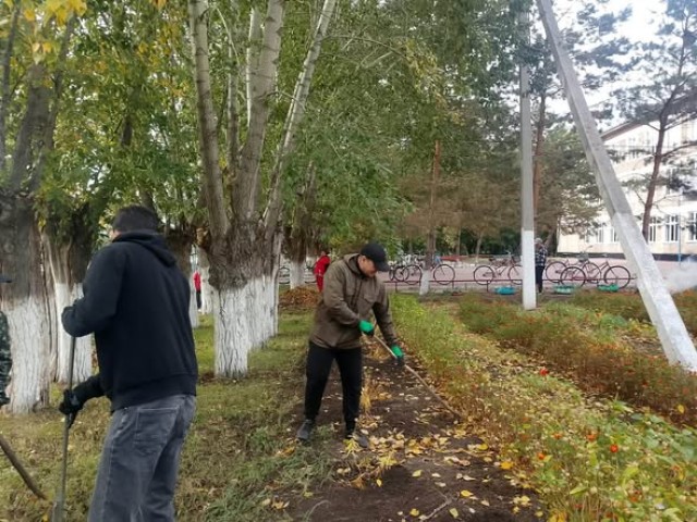 «World Cleanup Day»